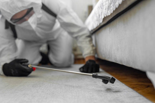 Professional Bed Bug Control technician working in Park Ridge, NJ