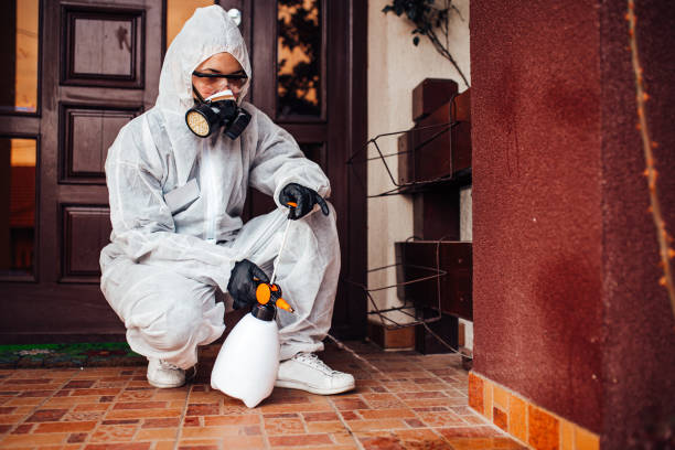 Reliable Bed Bug Control contractor in Park Ridge, NJ by Nex Pest Control