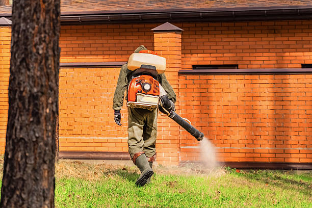 Trusted Emergency Pest Control service in Park Ridge, NJ - Nex Pest Control